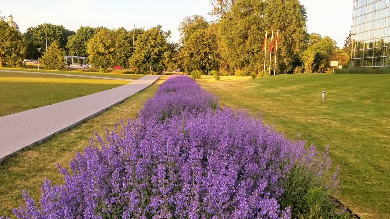 Wilanow Warszawa
